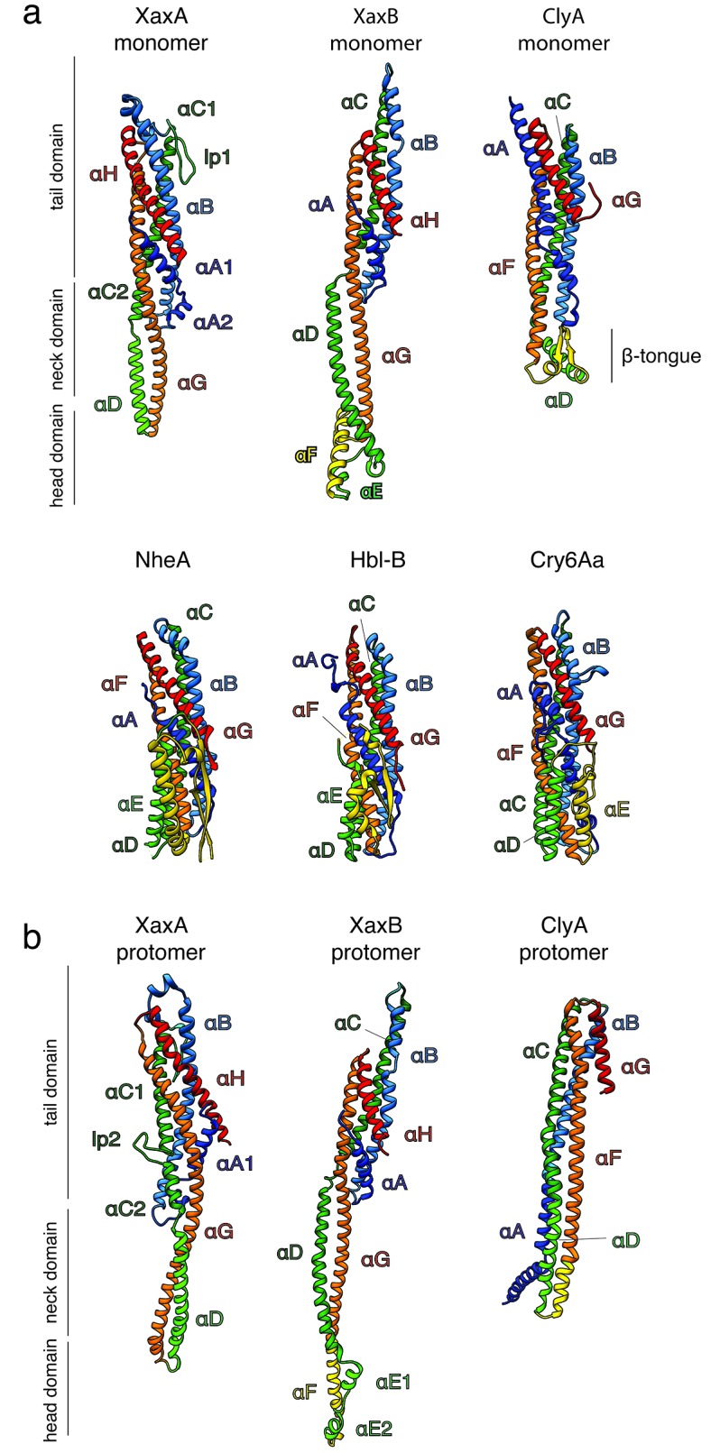 Figure 1—figure supplement 4.