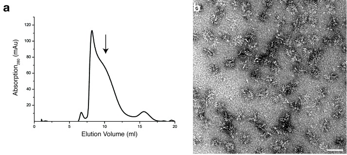 Figure 1—figure supplement 3.