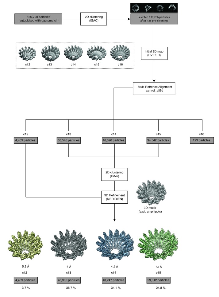 Figure 3—figure supplement 4.