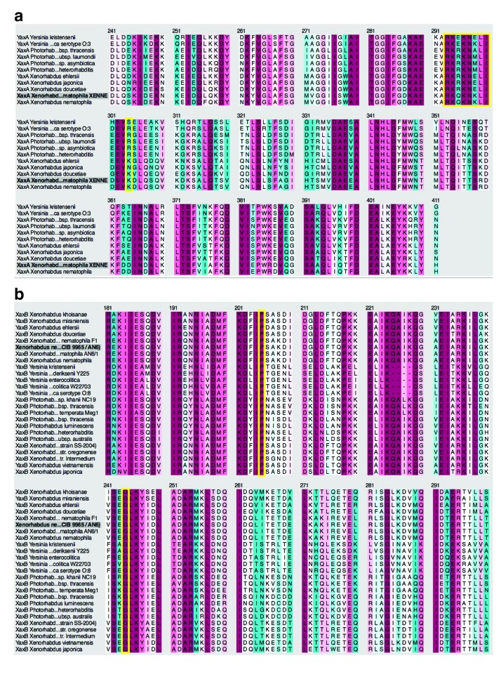 Figure 3—figure supplement 8.