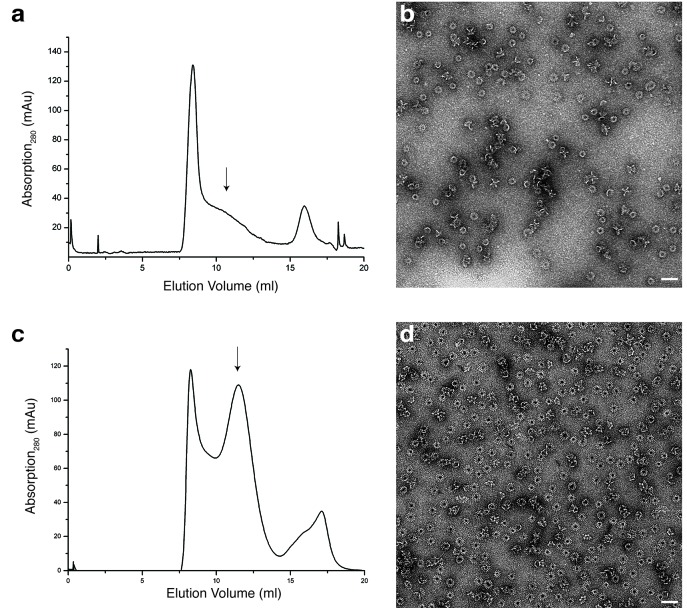 Figure 3—figure supplement 2.