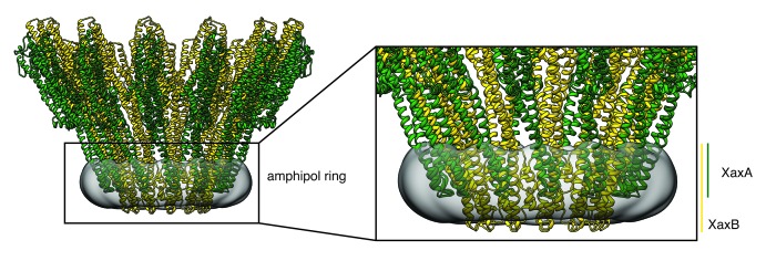 Figure 3—figure supplement 6.