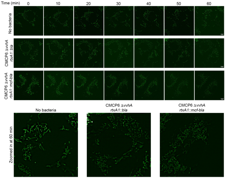 Figure 6.