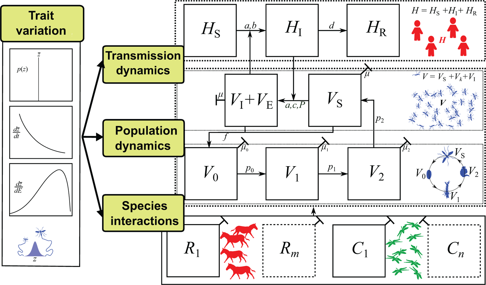 FIGURE 4 |