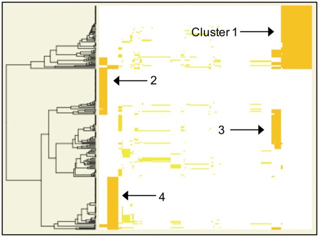 Fig. 3.