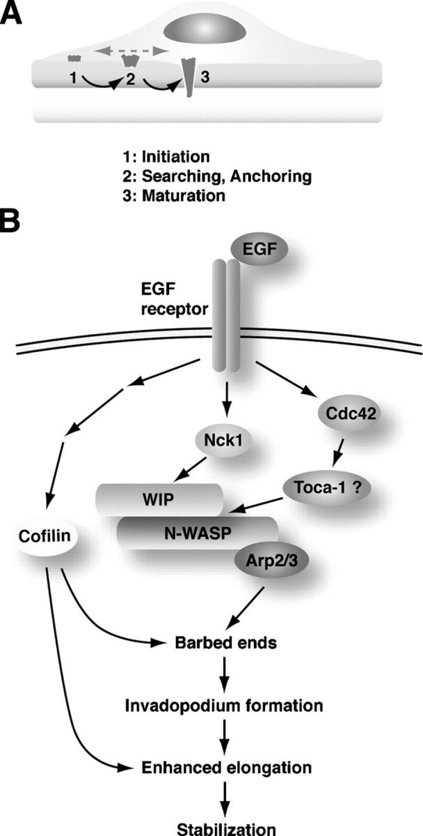 Figure 9.