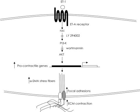 Figure 11.