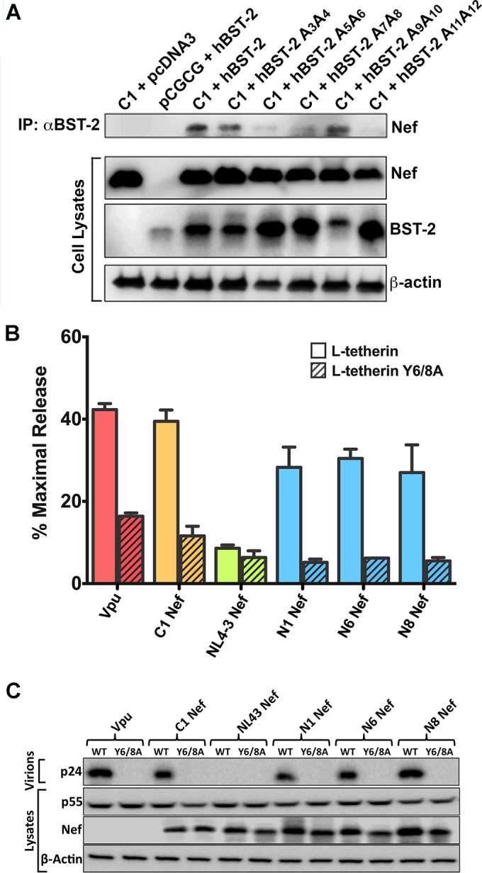 FIG 4