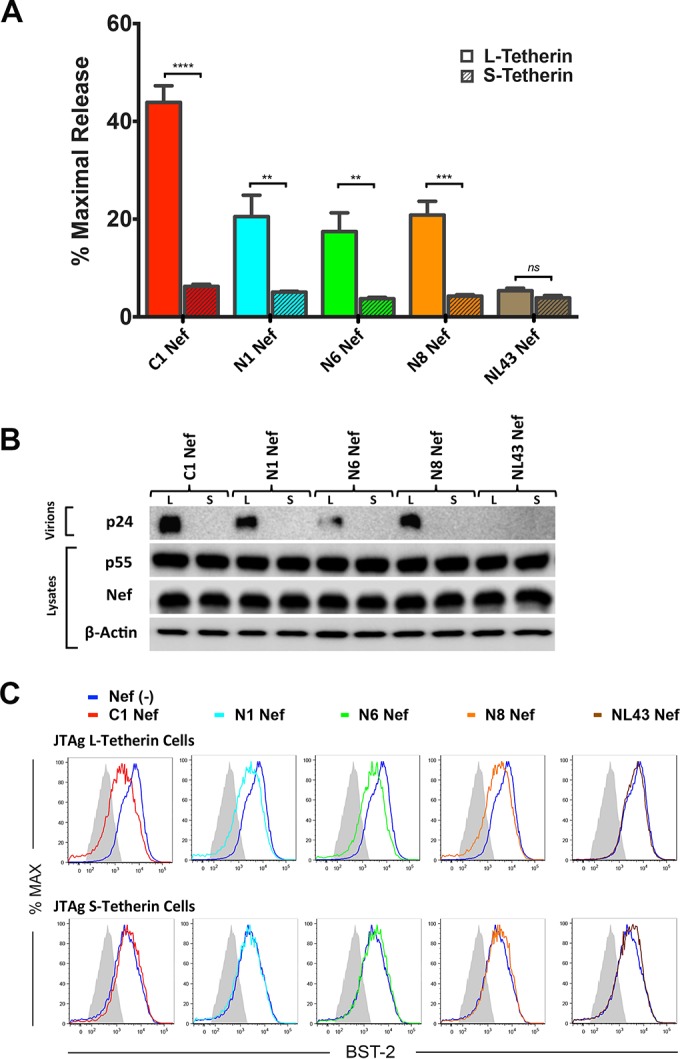 FIG 3