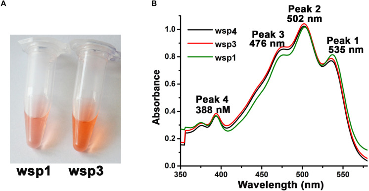FIGURE 3