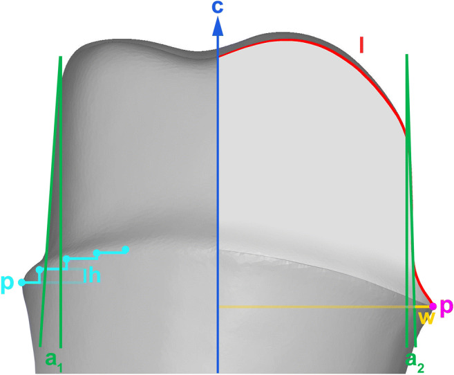 Fig. 2