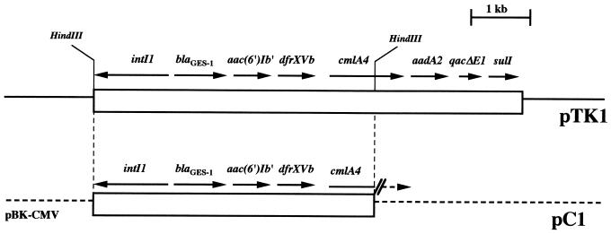 FIG. 1