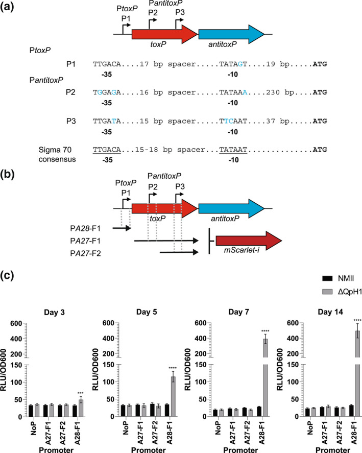 FIGURE 12