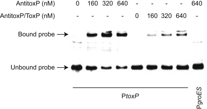 FIGURE 11