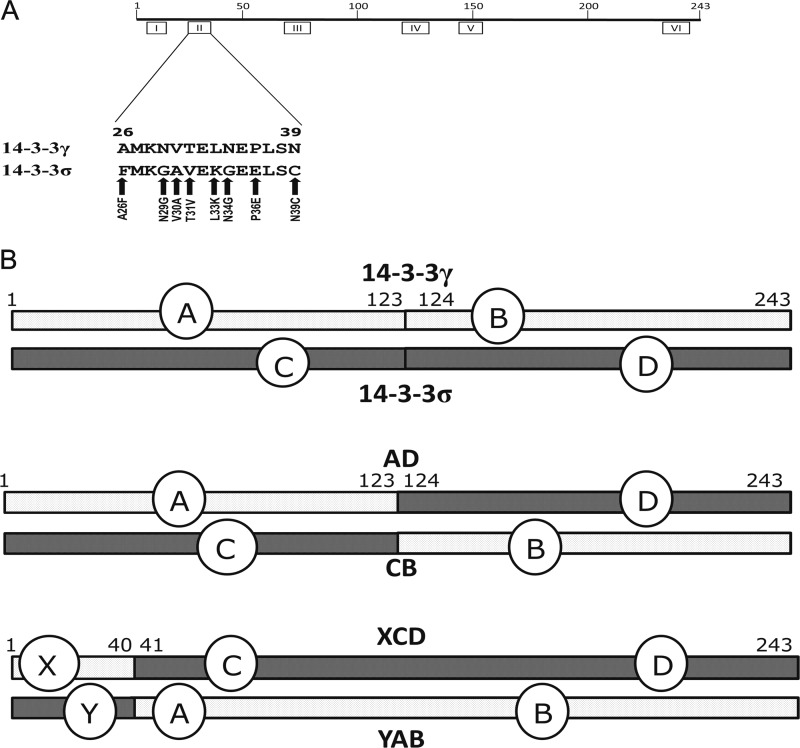 FIGURE 1.