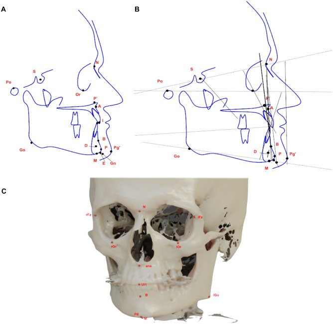 Fig. 1