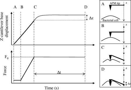 FIG. 1.