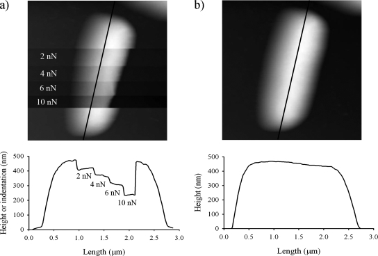 FIG. 4.