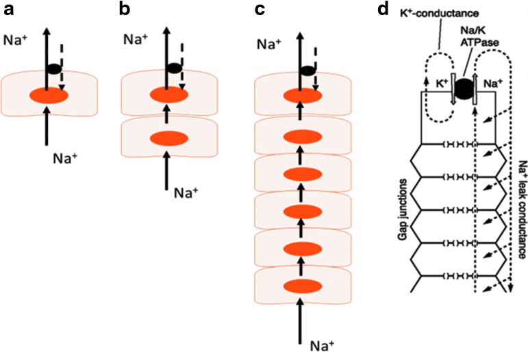 FIG. 1.