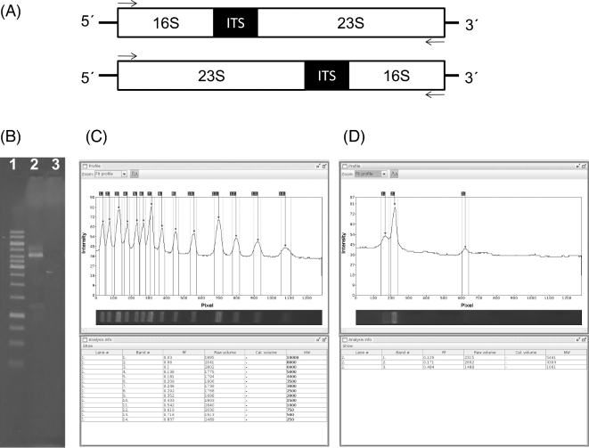 Figure 1: