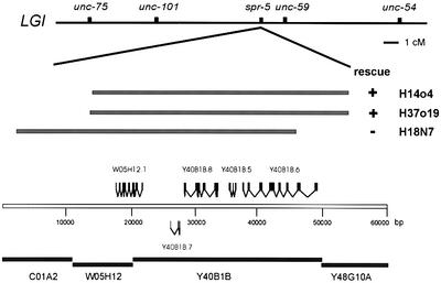 graphic file with name cdf561f1.jpg