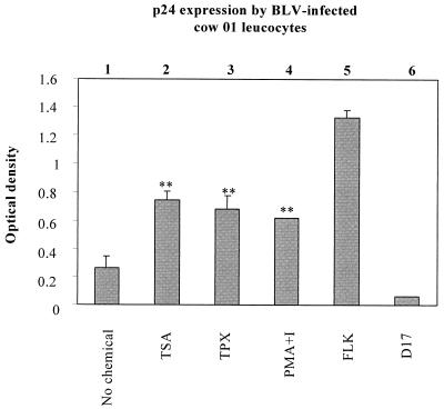 FIG. 5.