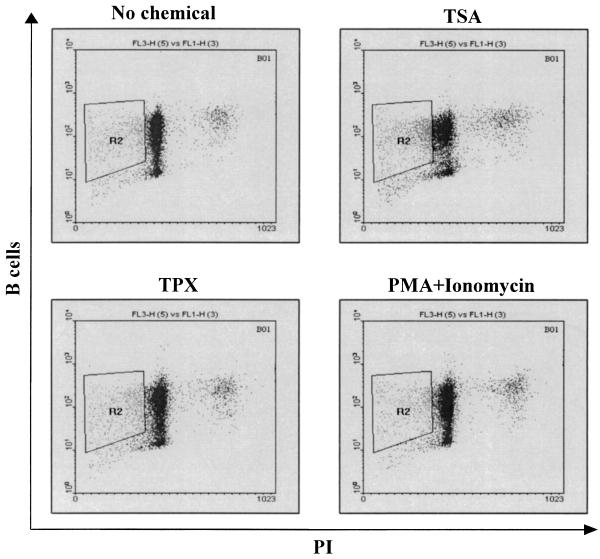 FIG. 6.