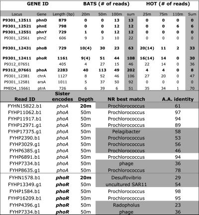 graphic file with name pnas.1018662108unfig01.jpg