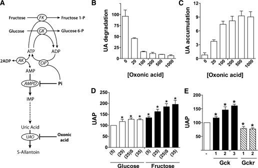 FIG. 8.