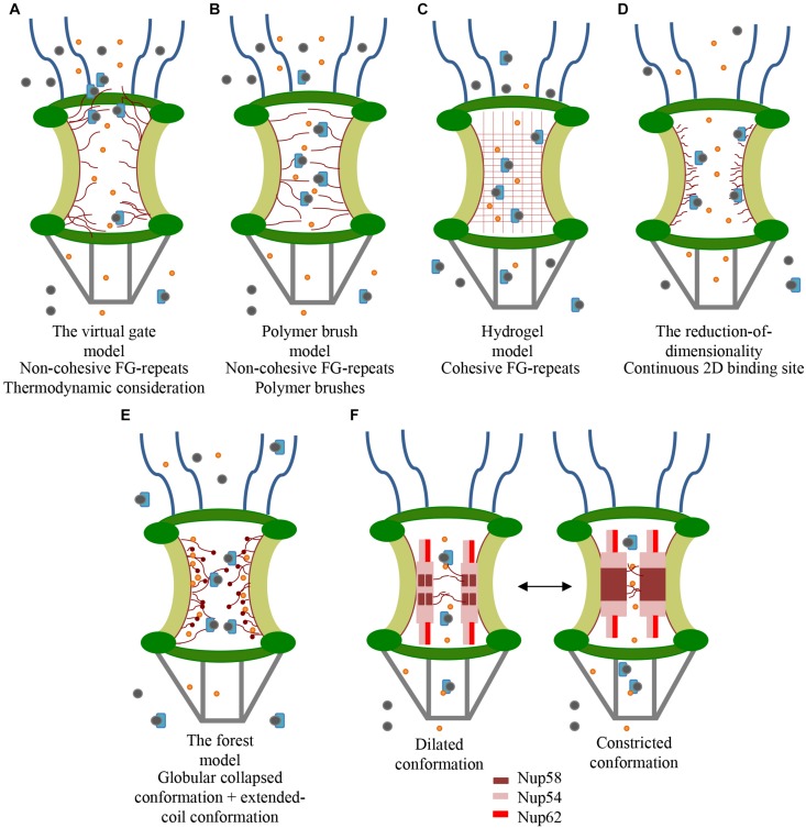 FIGURE 2