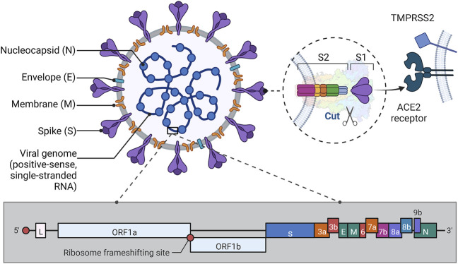 FIGURE 1