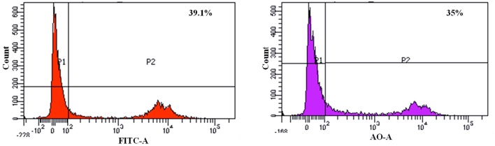 FIGURE 4