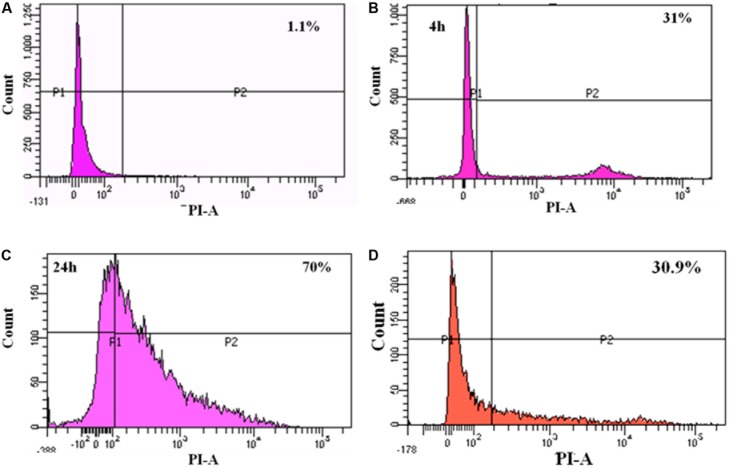 FIGURE 7