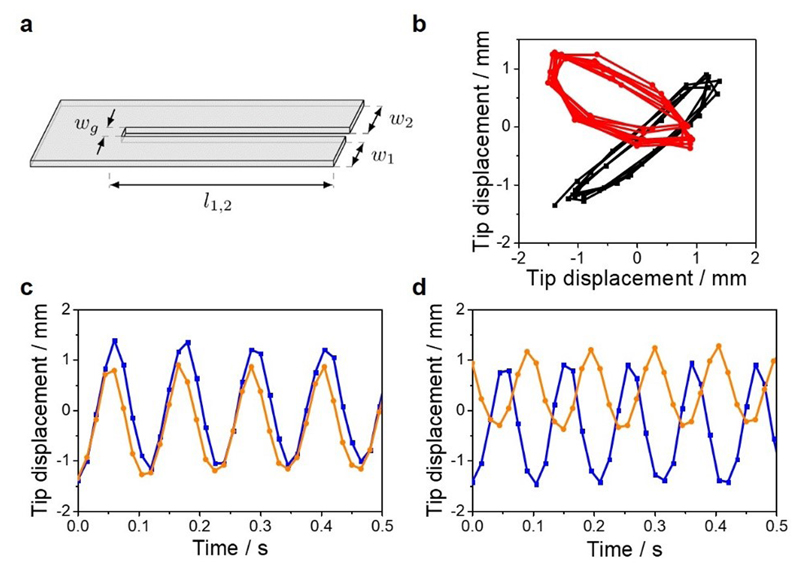 Fig. 1