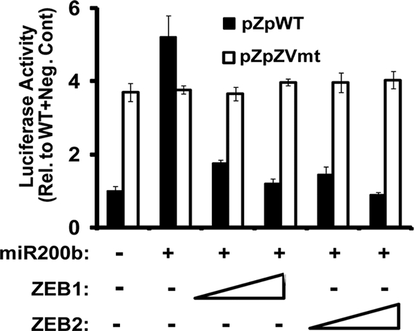 FIG. 11.