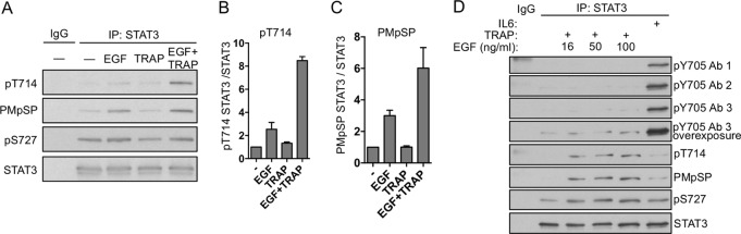 FIG 3