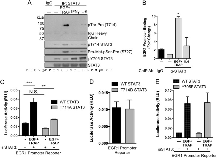 FIG 6