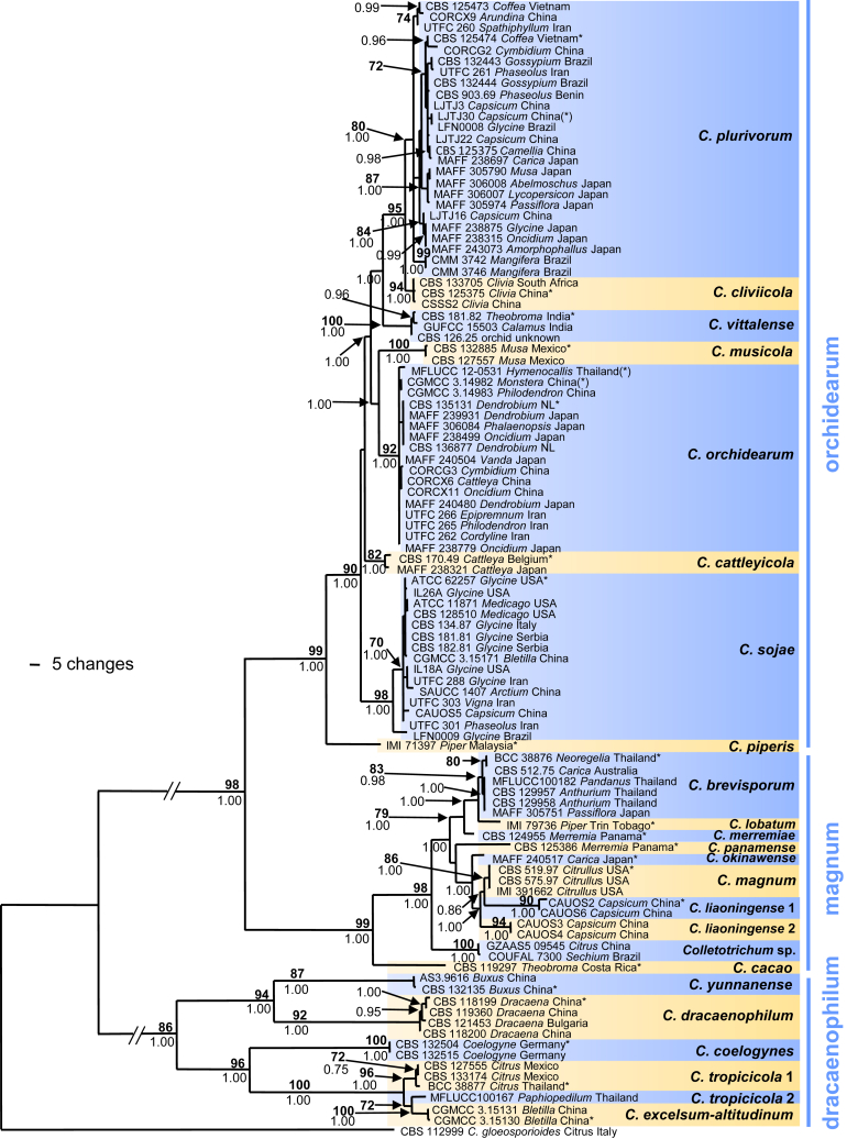 Fig. 1