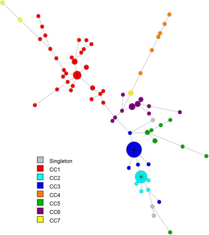 Figure 4