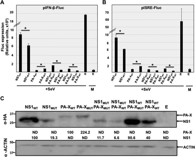 FIG 3