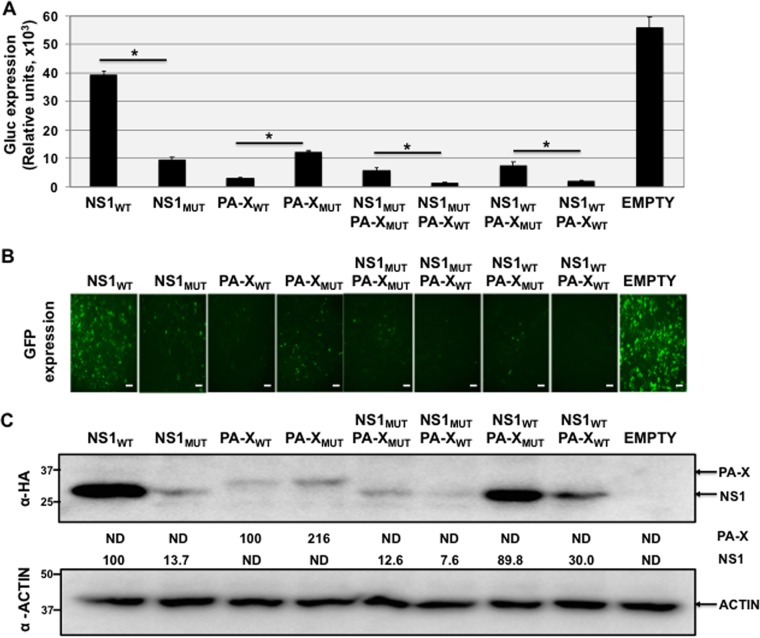 FIG 2