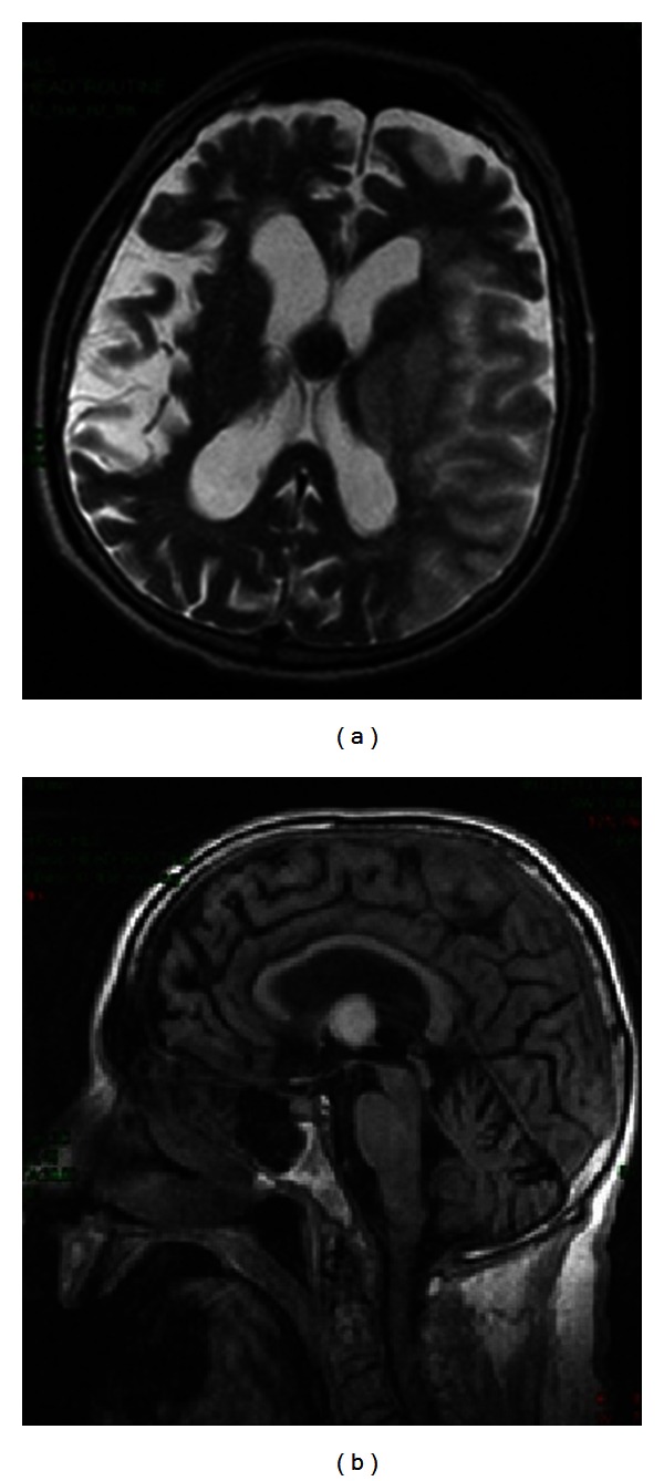 Figure 7