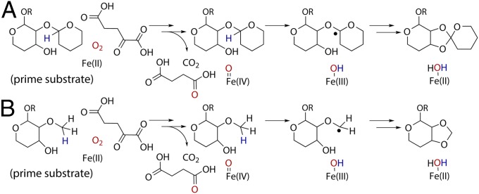 Fig. 4.