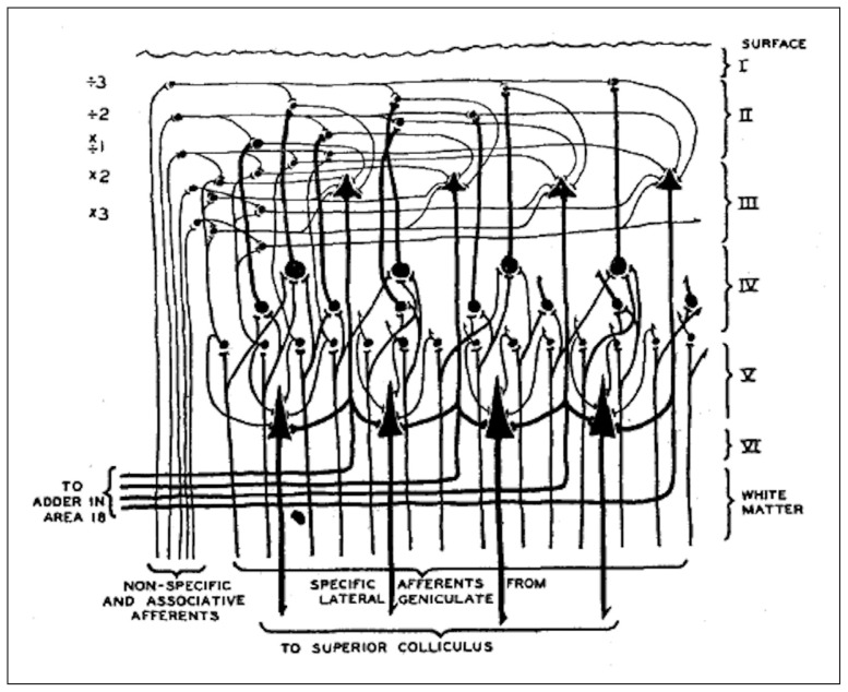 Figure 1: