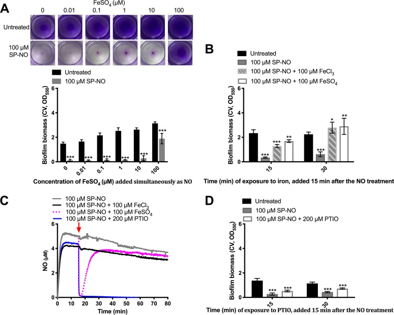 FIG 2