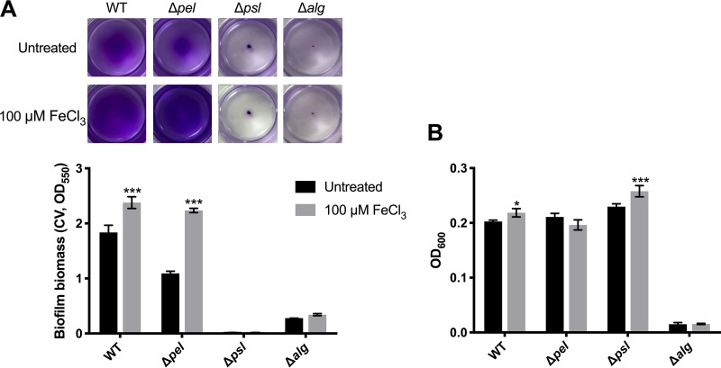 FIG 5