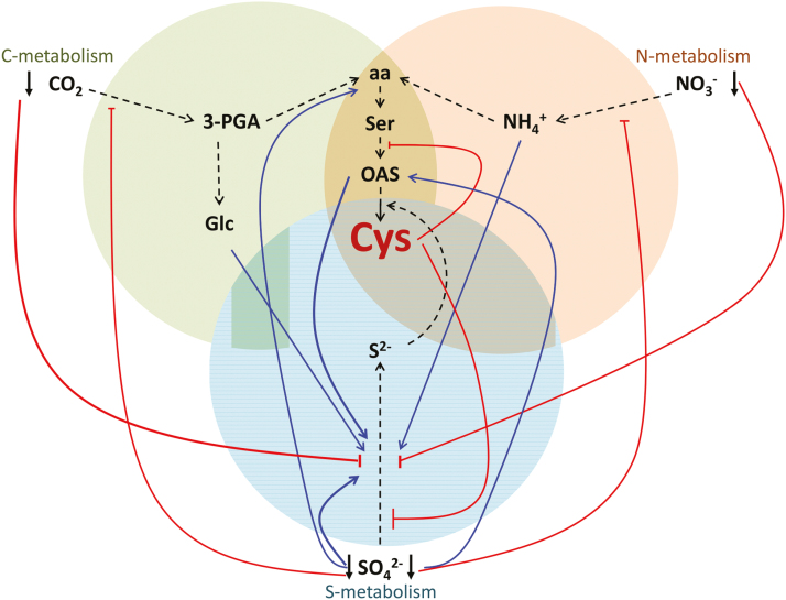 Fig. 2.