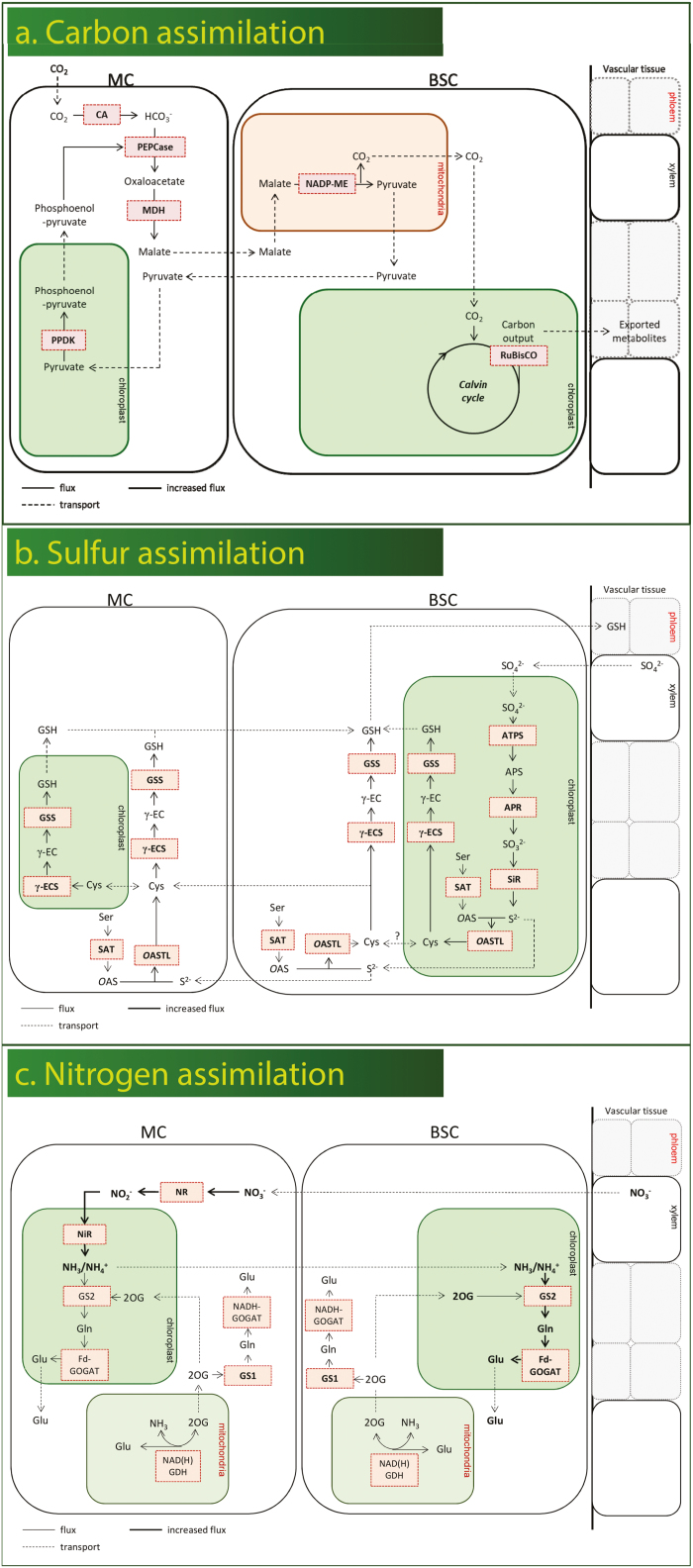 Fig. 3.