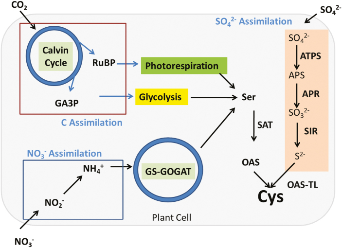 Fig. 1.