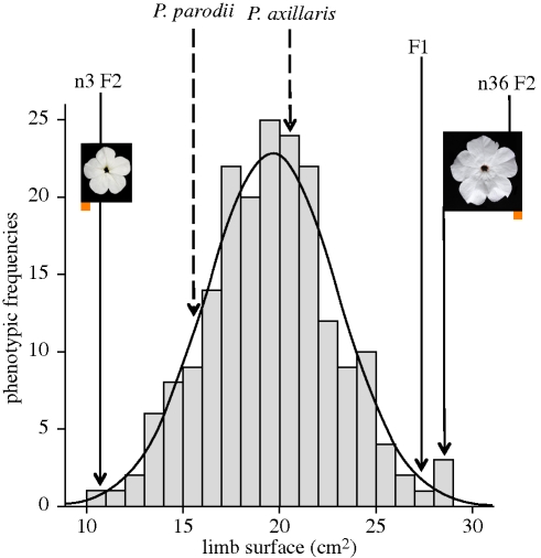 Figure 4.